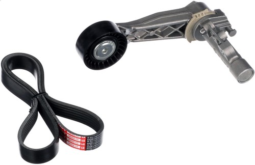 Ribbed belt kit - belt,