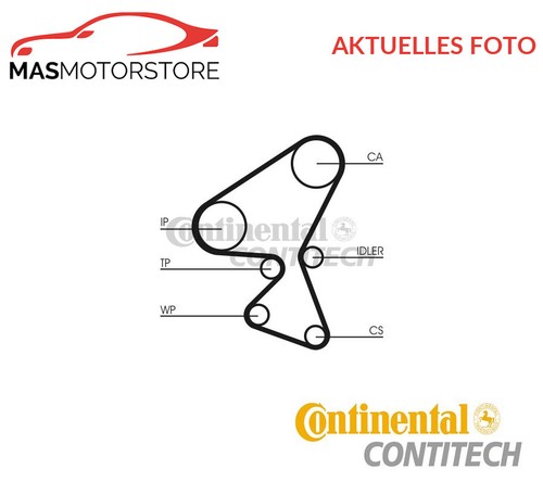 Timing belt kit - kit,