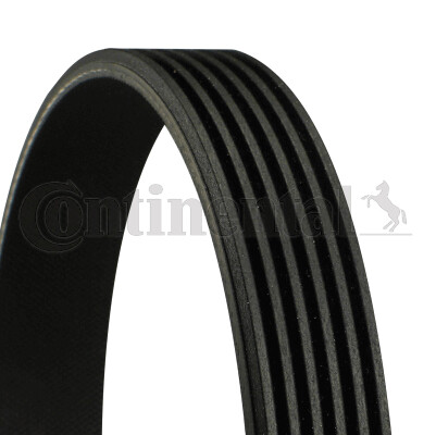 Continental ctam 6pk905 - 6pk905, extra